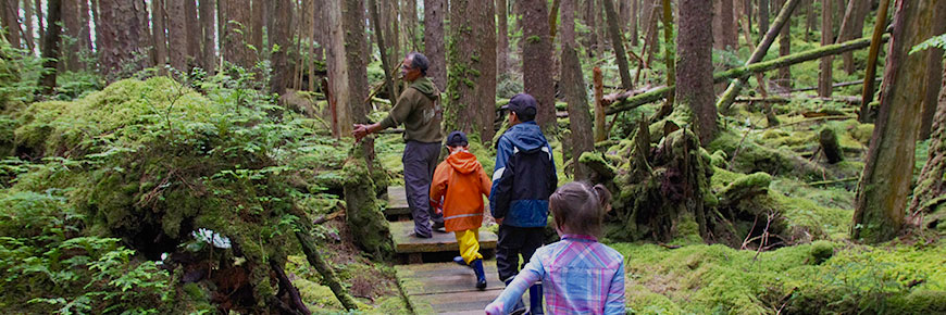 A man and three children walk through the forest of SGang Gwaay