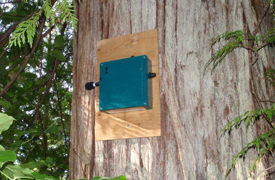 Gwaii Haanas has been monitoring seabirds and other wildlife including invasive species on rat-infested islands and rat free islands with specialized acoustic recording units (shown here) and wildlife cameras.