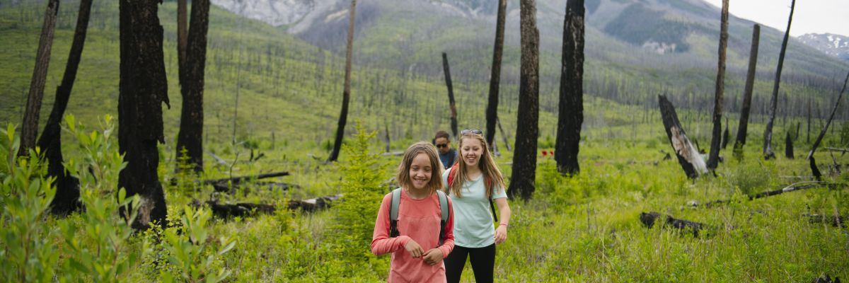 Three people walk a trail surrounded by green bushes and burnt trees.