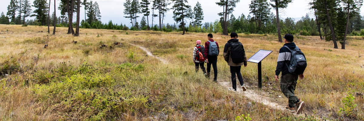 Four people walk along the Letwilc7úl̓ecw Trail in Kootenay National Park