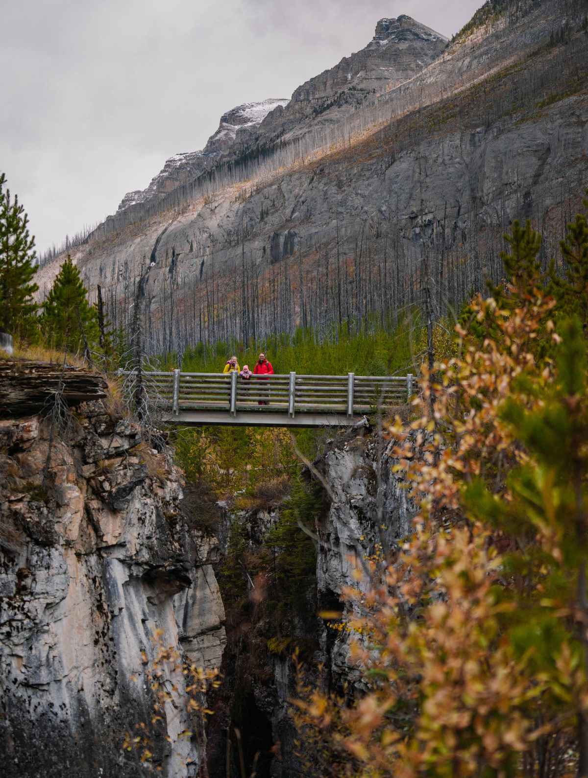 A bridge overlooking Marble Canyon. 