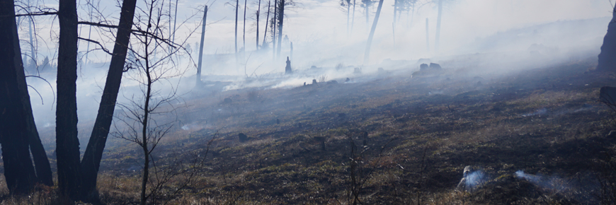 prescribed burn