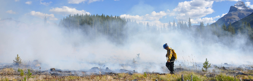 prescribed burn