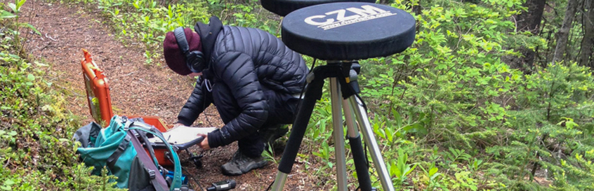 monitoring bird song