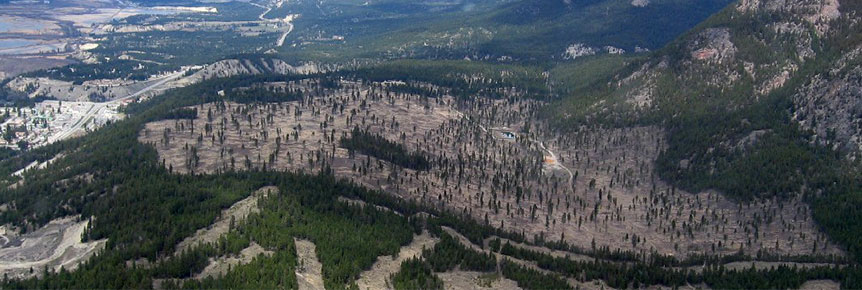 Vue aérienne du secteur Redstreak après la remise en état. 