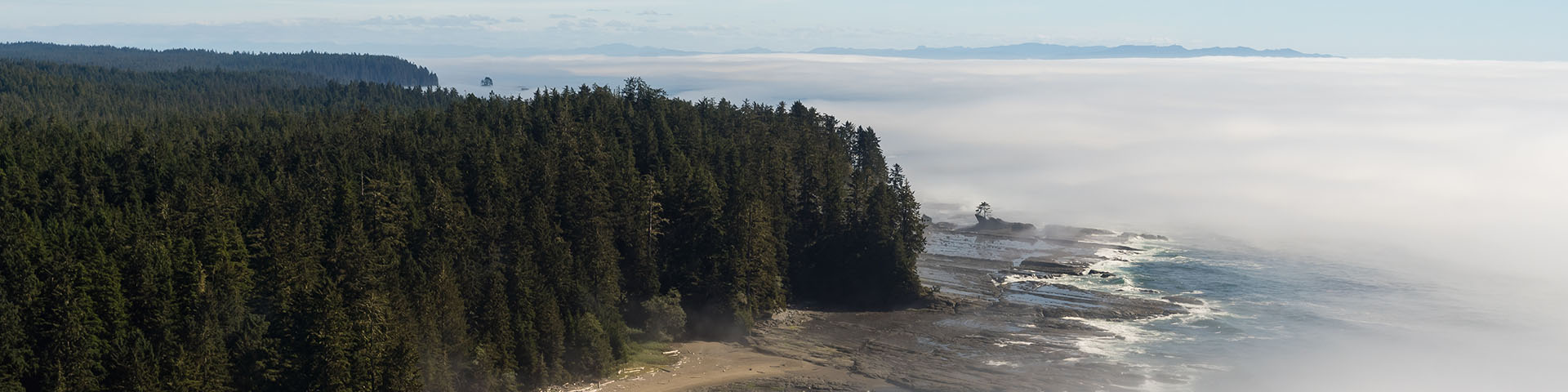 Vue aérienne de la ligne de côte montrant le brouillard qui se déplace sur la plage et les terres boisées.