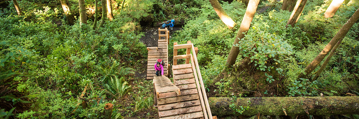 Multi-level ladders like this are just one of the many challenging hiking features found on the West Coast Trail