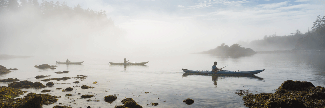 	Ces kayakistes admirent la végétation luxuriante qui recouvre la rive. Réserve de parc national Pacific Rim.