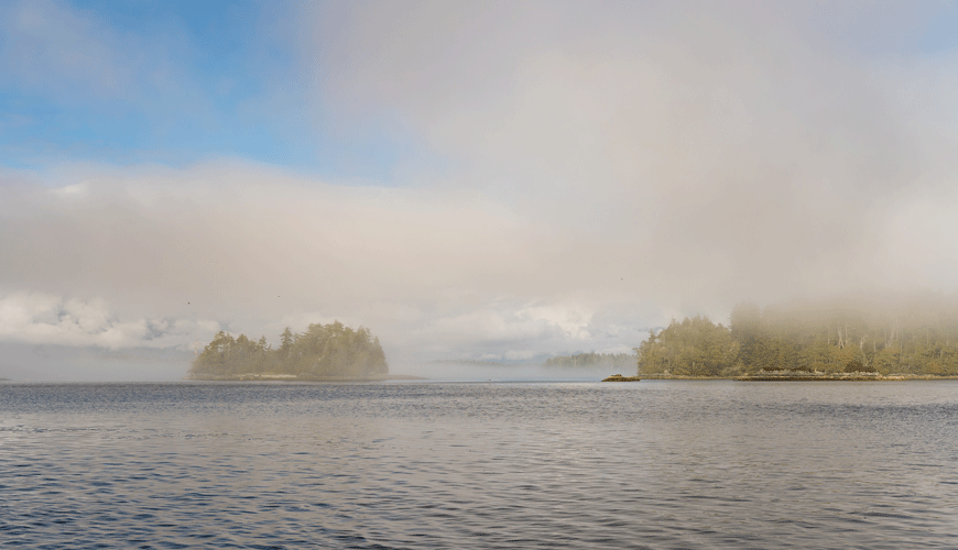 Ocean with forested islands and misty sky