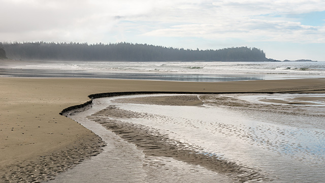 A shoreline
