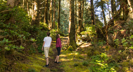 Two people walking up a trail through the forest.