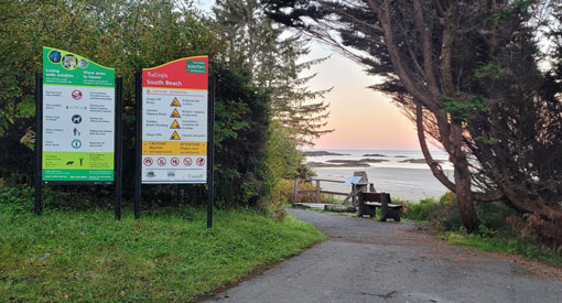 Pathway leading to lookout of beach with bench with signage at the start.
