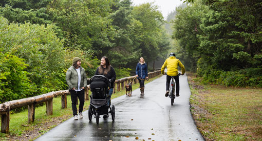A family with a stroller, person with a dog and a cyclist on a paved pathway.