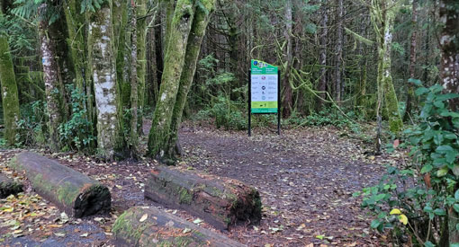 Beginning of trail with signage