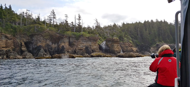 Un scientifique vêtu d’un manteau rouge prend des photos de baleines grises à partir d’un bateau, la côte en arrière-plan.