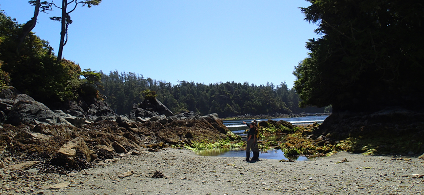 Two people looking at shoreline with trees