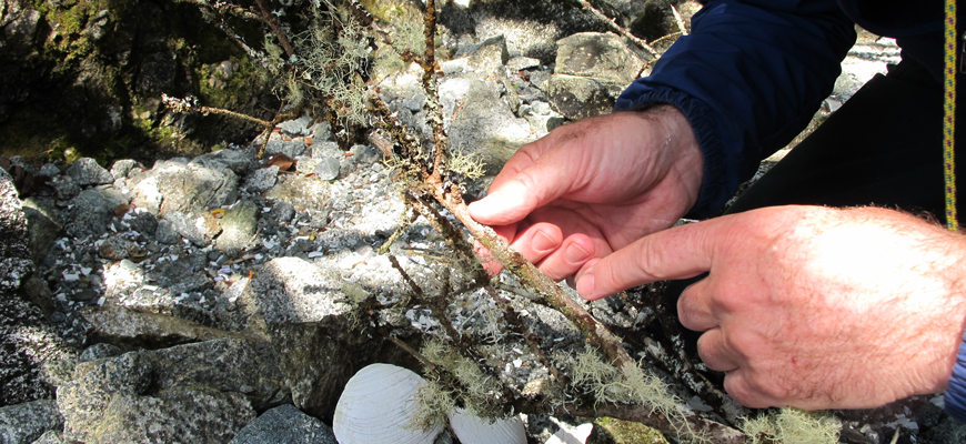 Hands holding a branch with a finger pointing to lichen.