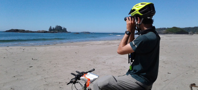 Un employé de Parcs Canada assis sur un vélo observe la plage et l’océan au loin à l’aide de jumelles.