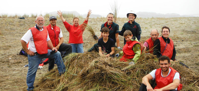 Des bénévoles se tiennent autour de plantes envahissantes des dunes, sur la plage.