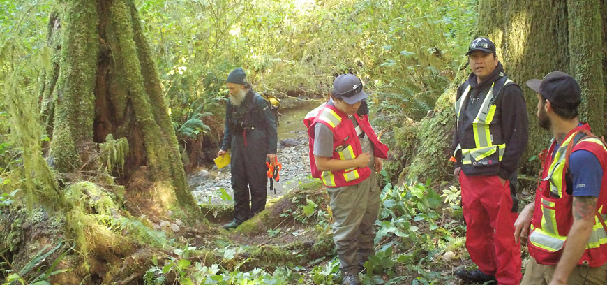 Ditidaht First Nation and Parks Canada crew surveying a sockeye creek slotted for restoration.