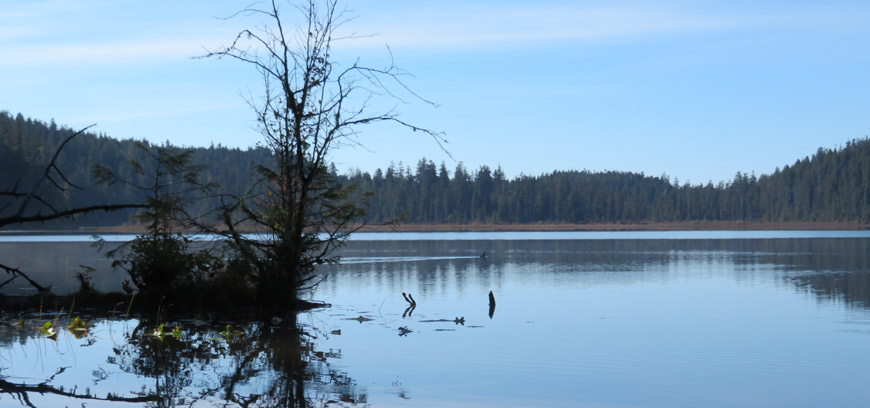 Cheewaht Lake looking southwest from the mouth of one of its salmon-bearing tributaries.