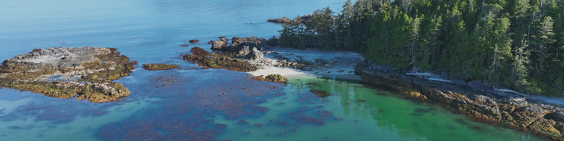 aerial photo of boat on ocean with forested island in the background