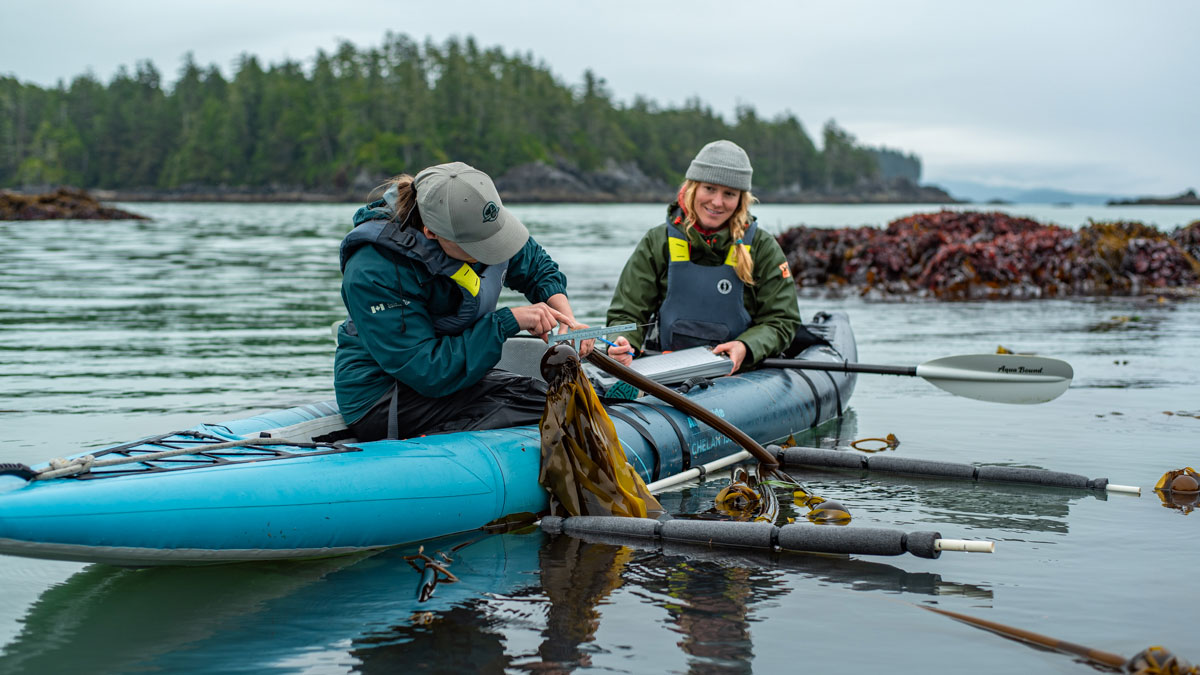 two people in a kayak pulling kelp from the ocean