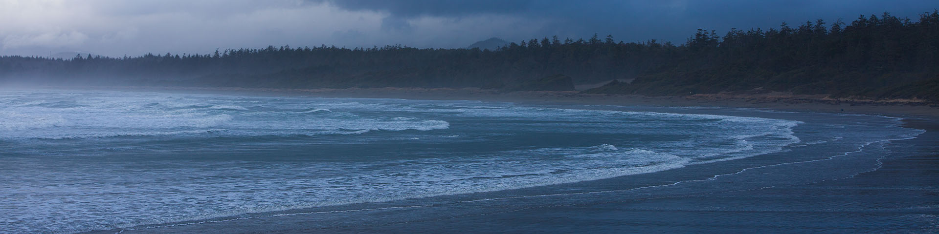 Long sandy beach with trees lining the shore 