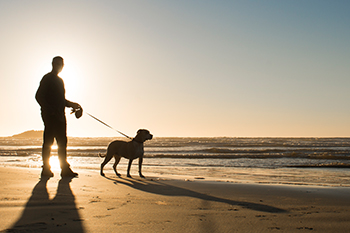 A man and his dog on leash silhouetted by the sunset on the beach 