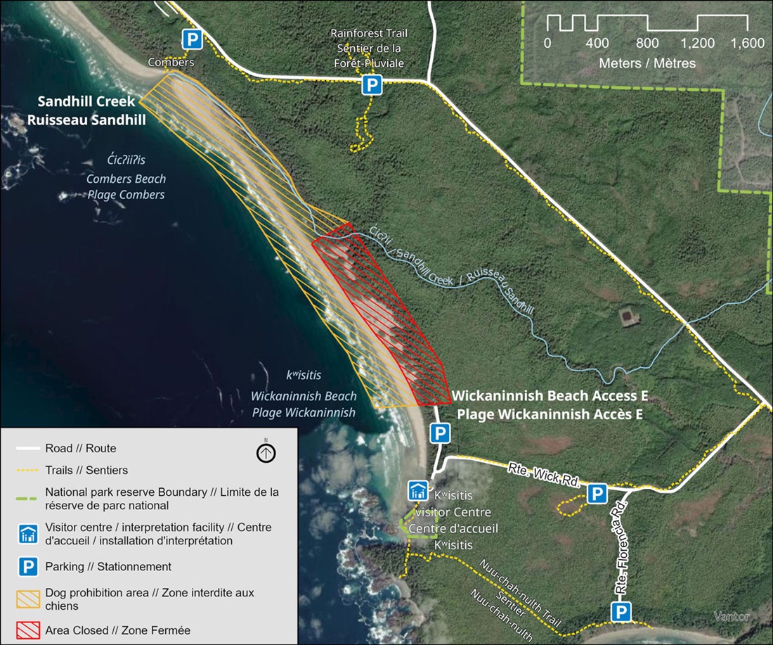 A map of Pacific Rim national Park Reserve  showing three highlighted areas along Wickaninnish beach: red indicates closures of the former Gold Mine Trail and Wickaninnish Dunes; yellow marks a dog‑prohibited section on Wickaninnish Beach between the east Beach Access and Sandhill Creek.