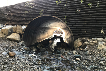 Coco mats, rocks, logs and native plants are used to stabilize the banks along Wick Road.