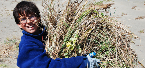 Become a Restoration Volunteer Today!