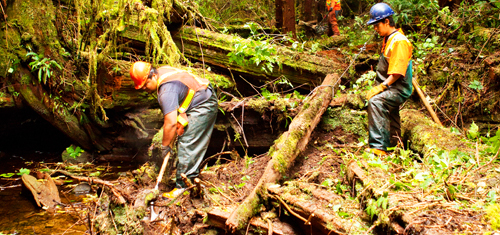 Salmon stream restoration