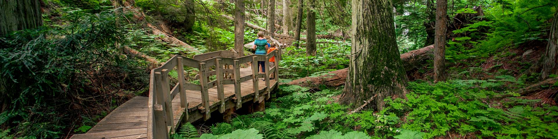 Two hikers walking along a boardwalk in a forest