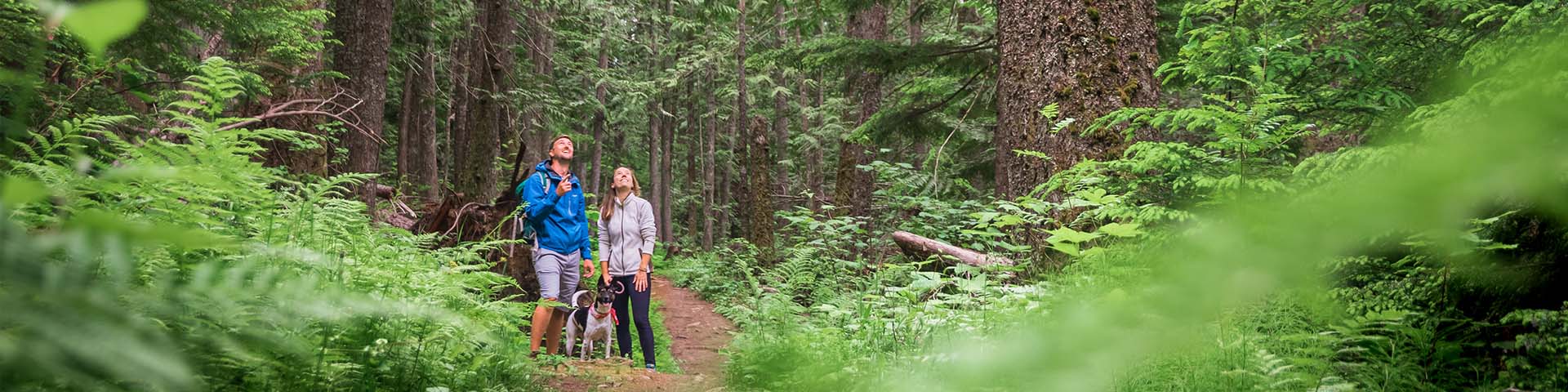 deux personnes et un chien en randonnée dans une forêt