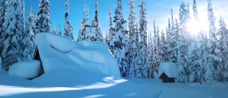 A peaceful side view of a snow-covered cabin, with the outhouse, located behind it. In the background, several tall spruce trees stand adorned with snow, while the sun shines brightly in the top right corner, illuminating the winter scene.
