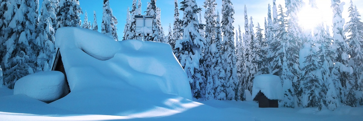 A peaceful side view of a snow-covered cabin, with the outhouse, located behind it. In the background, several tall spruce trees stand adorned with snow, while the sun shines brightly in the top right corner, illuminating the winter scene.