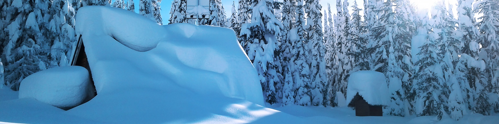 A peaceful side view of a snow-covered cabin, with the outhouse, located behind it. In the background, several tall spruce trees stand adorned with snow, while the sun shines brightly in the top right corner, illuminating the winter scene.