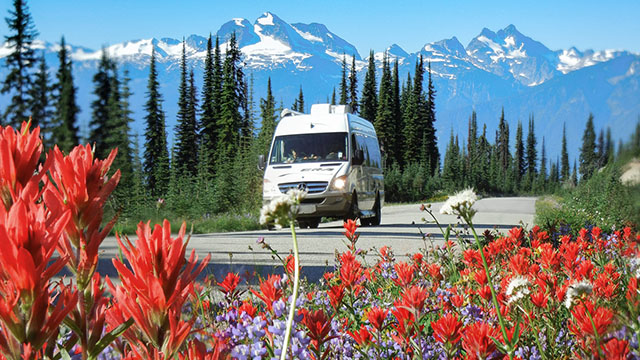 camper van driving up a road with wildflowers in the foreground and mountains in the background