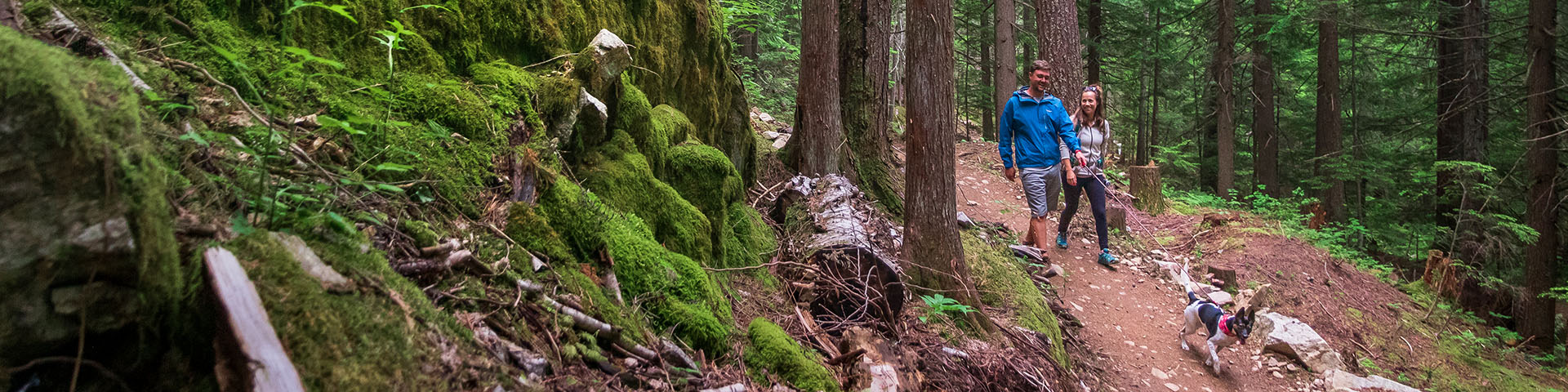 Deux personnes promenant leur chien sur les sentiers de Soren Sorensen dans le parc national du Mont-Revelstoke