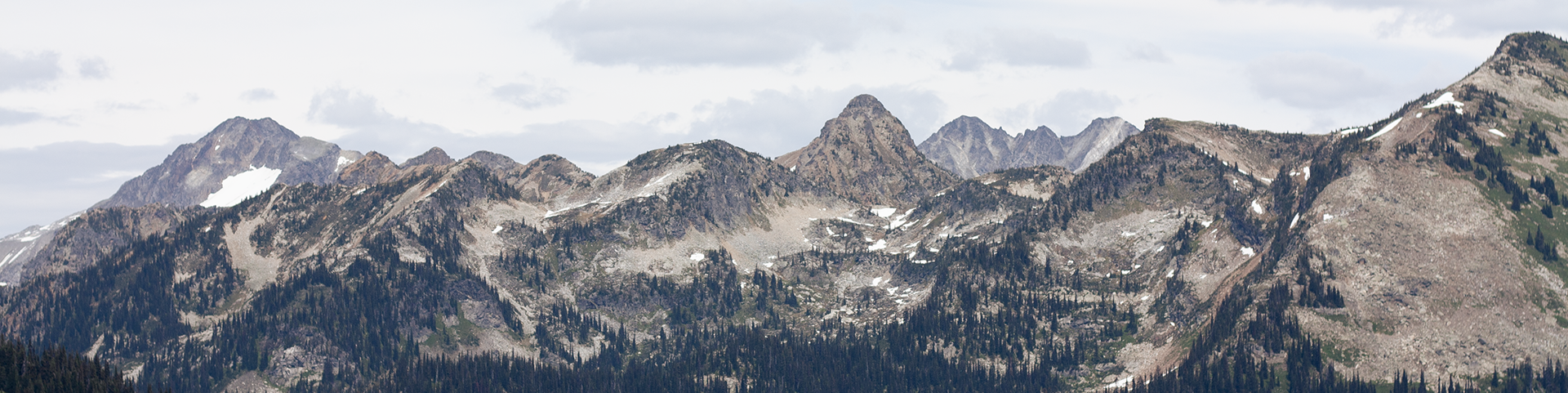 Mélange de paysages subalpins et alpins dans le parc national du Mont-Revelstoke, avec des arbres, des plaques de neige et un ciel nuageux et couvert.