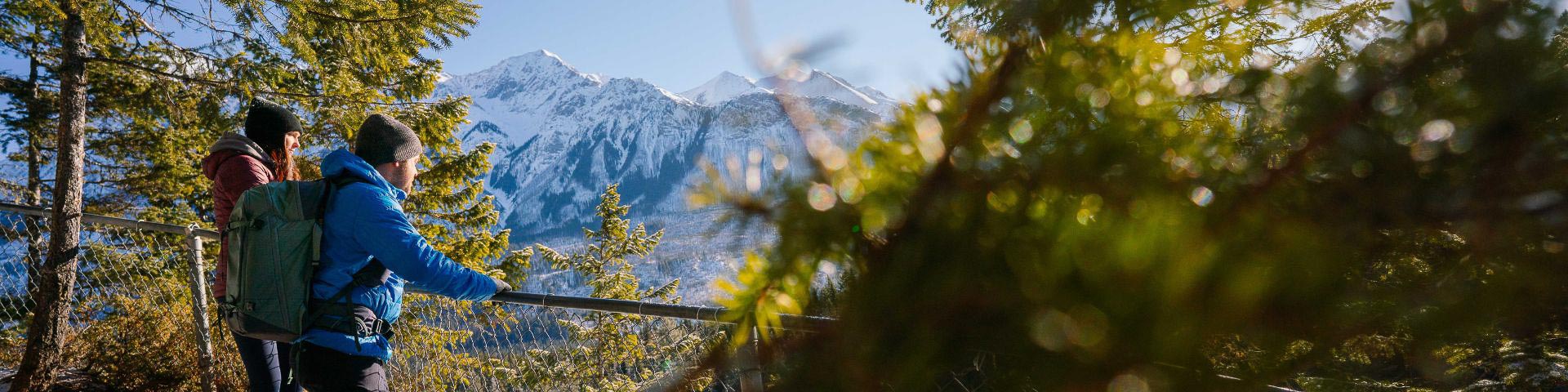 hikers at a lookout
