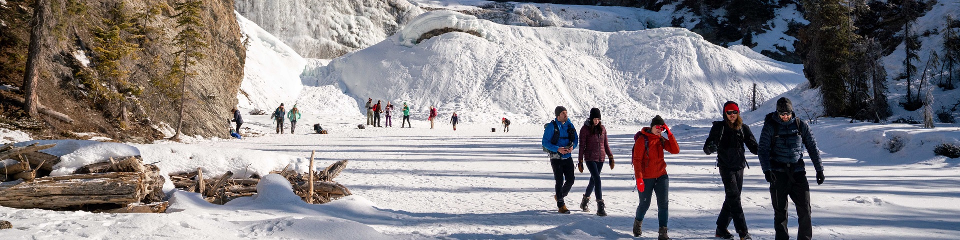 Group of five walkers in front of icy and snowy Wapta Falls, and several individuals in the background at the foot of the falls.