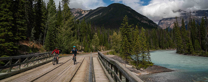 Mountain bikers on Kicking Horse Trail