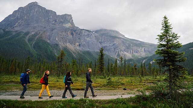 Quatre randonneurs sur un sentier avec des montagnes en arrière-plan