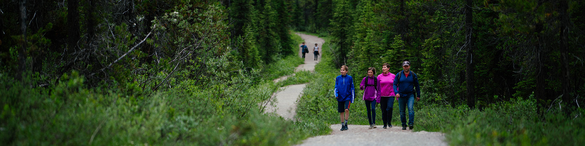 A family walking on a wide trail in a green forest