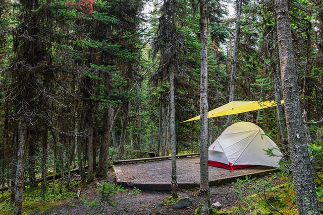 Une toile protège une tente montée sur un tablier dans une forêt de l’arrière-pays.