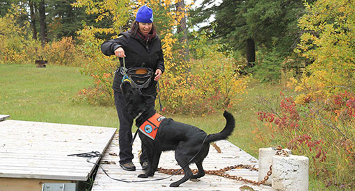 Cindy Sawchuk rewards Hilo with his tug toy after he finds another planted vial of zebra mussels. 