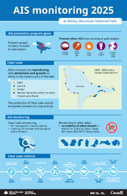 Infographic AIS monitoring 2025