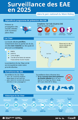 Infographie pour la surveillance des EAE